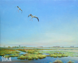 Landende ooievaars - Erik van Ommen - giclee