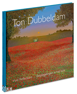 Bespiegelingen in het licht - Ton Dubbeldam