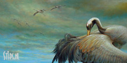 Kraanvogels - Erik van Ommen - giclee