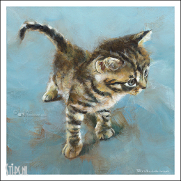 Kitten