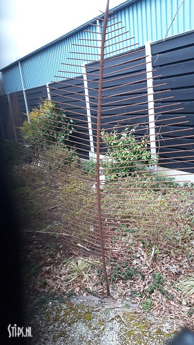 Groot geroest blad 2 - Afbeelding 2