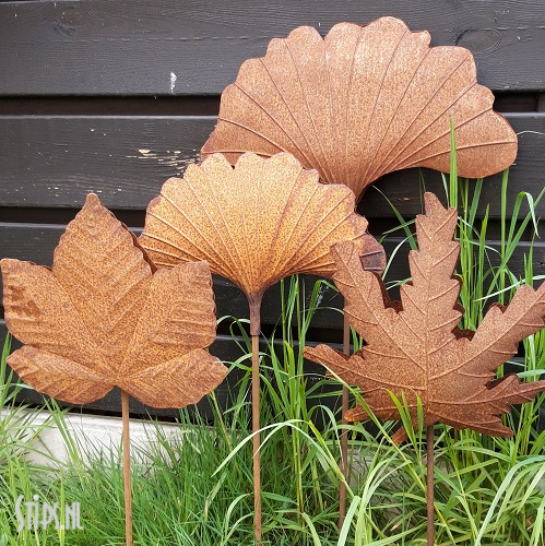 Ginkgo blad groot - geroest - Afbeelding 3
