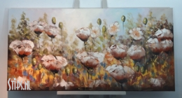 Bloemenveld met witte klaprozen - Jochem de Graaf