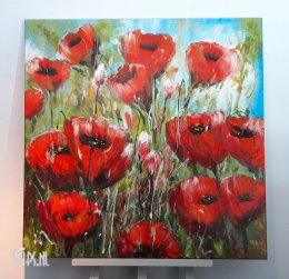 Rode klaprozen 100 x 100 - Jochem de Graaf