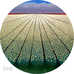 White Tulipfields - Ton Dubbeldam