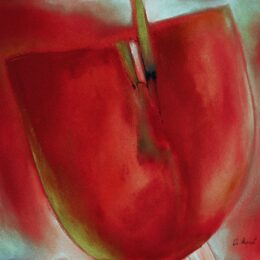 Red Bloom - Marta Peuckert - giclee