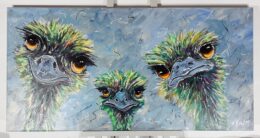 Struisvogelfamilie - Barbara de Jong